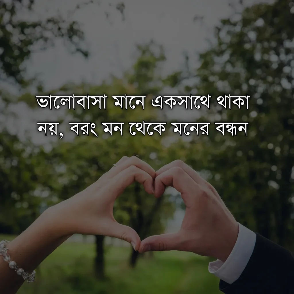 ৫০০+ ভালোবাসার ক্যাপশন বাংলা - ভালোবাসা নিয়ে স্ট্যাটাস 6 ভালোবাসার ক্যাপশন বাংলা - ভালোবাসা নিয়ে স্ট্যাটাস